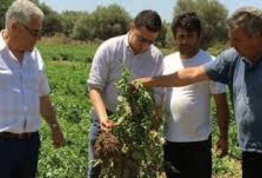 ΠΕΓΔΥ: Οι Γεωπόνοι δεν εκφοβίζονται ΠΕΓΔΥ: Οι Γεωπόνοι δεν εκφοβίζονται