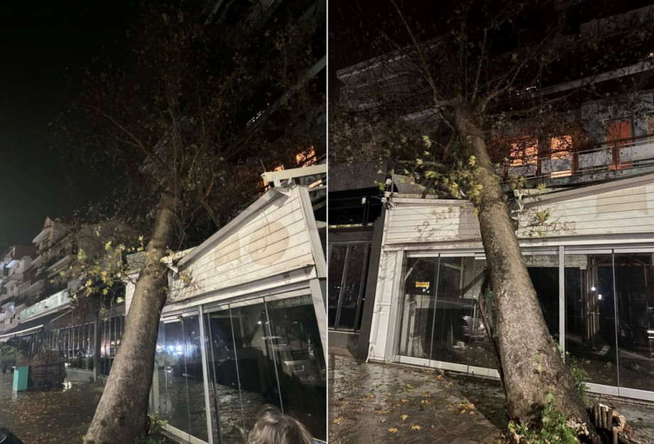 Ηγουμενίτσα: Τεράστιο πλατάνι έπεσε σε ταβέρνα από τους ισχυρούς ανέμους