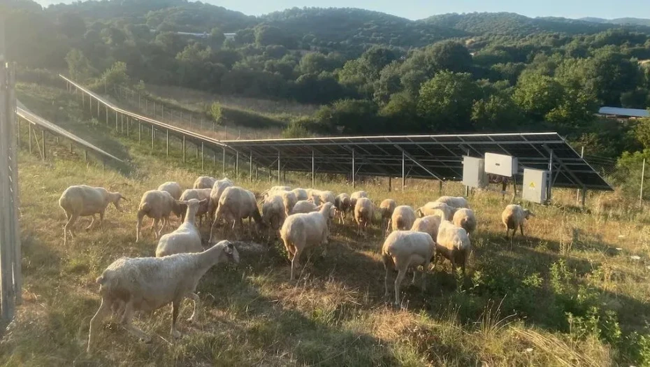 ΑΚΚΕΛ -Η Ελλάδα κινδυνεύει με 100.000€ πρόστιμο ανά ημέρα μη συμμόρφωσης γιατί δεν εμβολιάζει