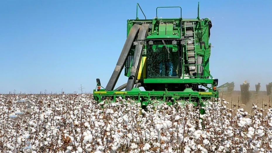 Συνεργασία ΥΠΑΑΤ – Διεπαγγελματικής Οργάνωσης Βάμβακος για τη μείωση του αποτυπώματος άνθρακα