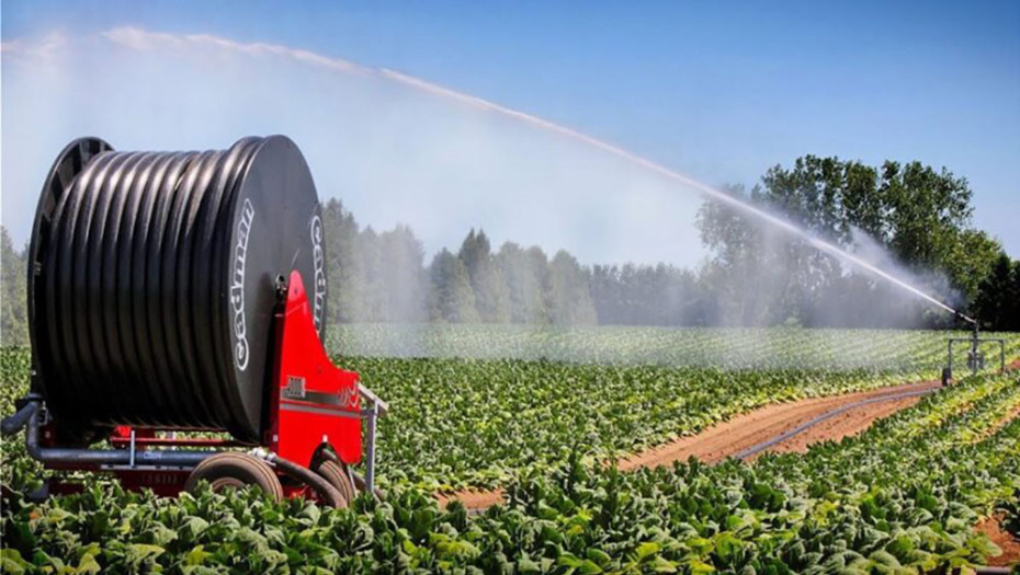 Πανελλήνια Ομοσπονδία Γεωτεχνικών Δημοσίων Υπαλλήλων -Αγροτική ανάπτυξη ή πολιτικό άλλοθι;