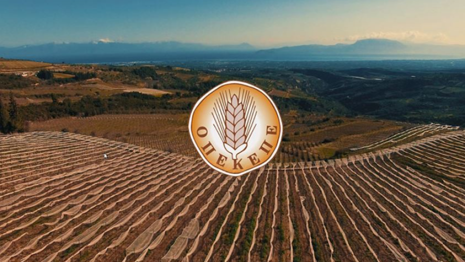 Διευκρινίσεις του ΟΠΕΚΕΠΕ για τη διαδικασία ενστάσεων για τα αγροτεμάχια χωρίς ΚΑΕΚ και το Μέτρο 23