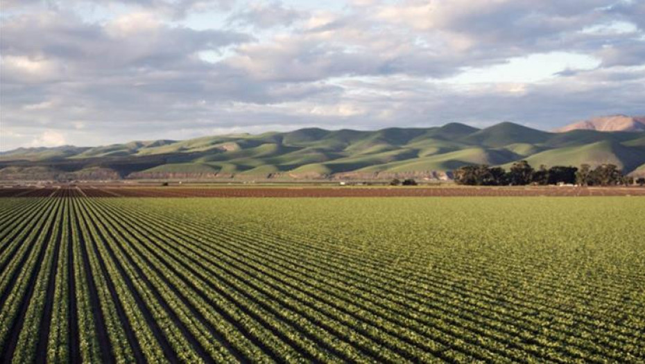 ΠΟΓΕΔΥ -Το τανγκό των εκατομμυρίων - Ποιοι χορεύουν μαζί;