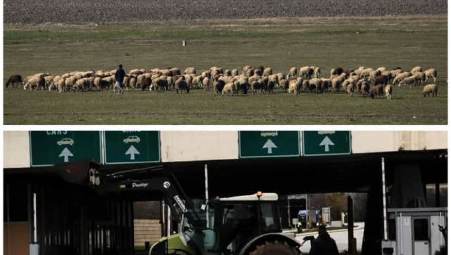 Λαϊκή Συσπείρωση: Πρόταση για απαλλαγή αγροτοκτηνοτρόφων από τα δημοτικά τέλη