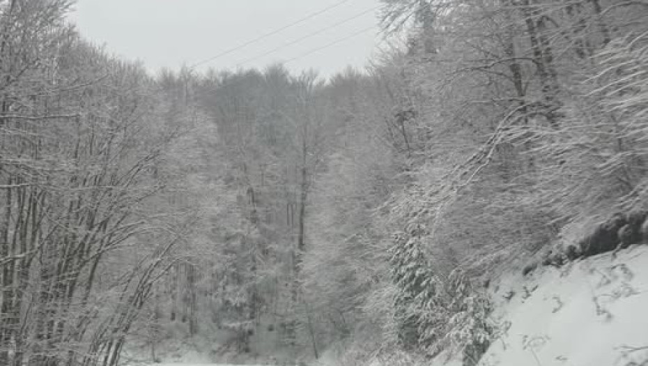 Λαϊλιάς: Σε «κλοιό» χιονιά το βουνό – Πρόωρο κλείσιμο για το Χιονοδρομικό και οδηγίες προς τους οδηγούς