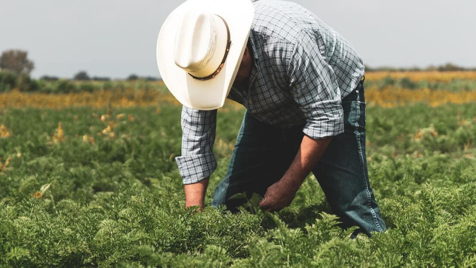 ΠΟΓΕΔΥ- Όταν η έρευνα προχωρά, η διαφάνεια οφείλει να προηγείται