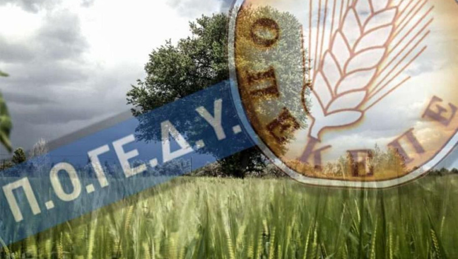 ΠΟΓΕΔΥ: Η πολιτική ηγεσία διαλύει τις Υπηρεσίες