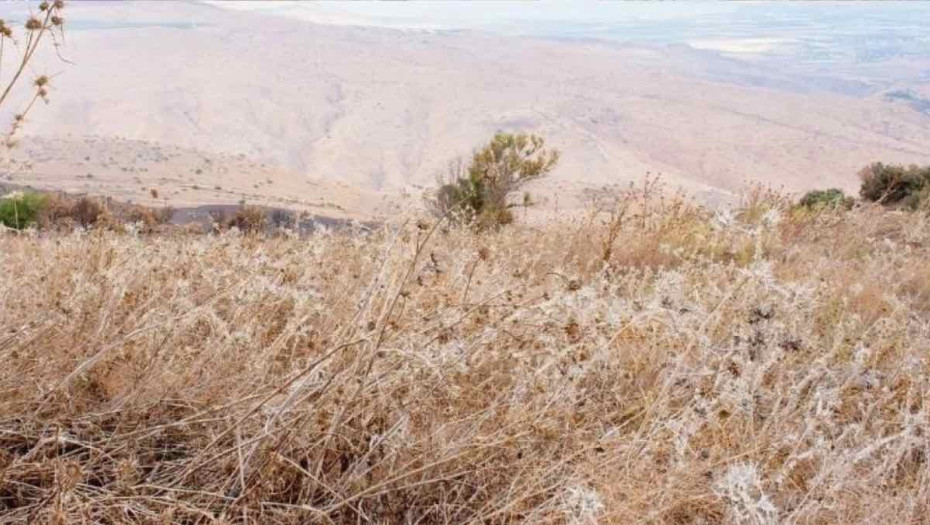 Σέρρες - Για οικόπεδο που δεν καθάρισε ο Δήμος δεν πληρώνει το πρόστιμο της πυροσβεστικής