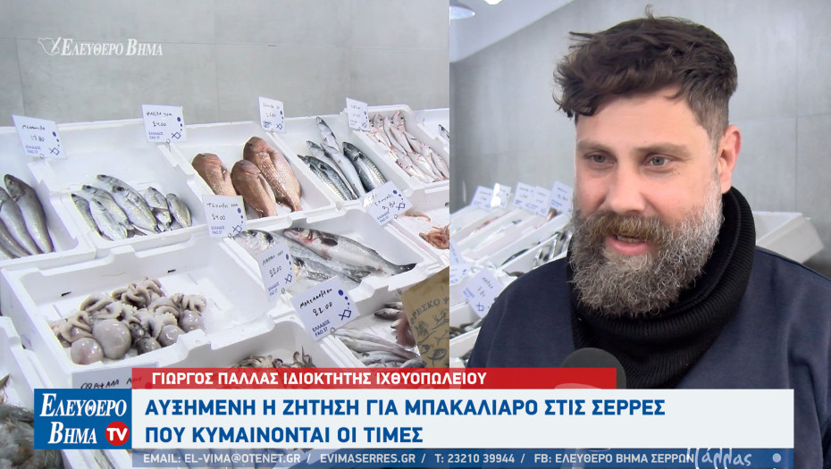 25η Μαρτίου - Οι Σερραίοι άδειασαν τα τελάρα με τον μπακαλιάρο