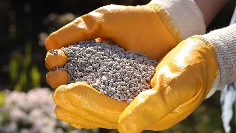 Με απόφαση της κομισιόν: Θα επιδοτηθεί η αγορά λιπασμάτων;