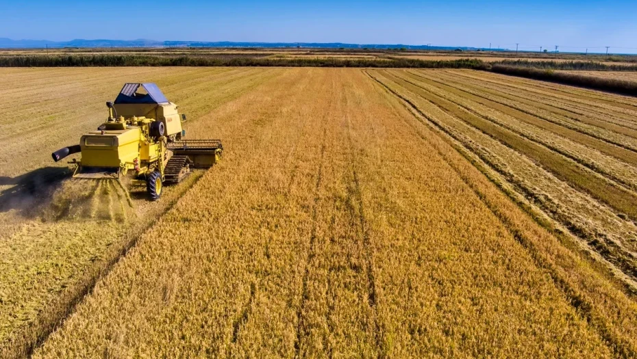 Ενεργοί Πολίτες Σερρών - Myseety" -Η επίδραση της ποσότητας του αρδευτικού νερού στην απόδοση και τα ποιοτικά χαρακτηριστικά καλλιεργειών ρυζιού & βαμβακιού
