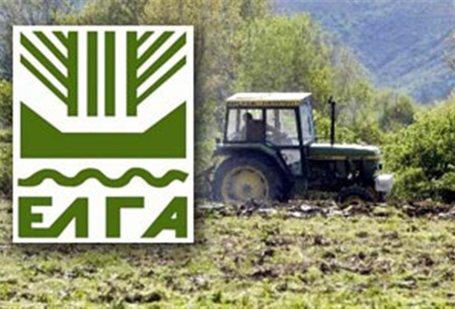 Διεύθυνση Αγροτικής Οικονομίας και Κτηνιατρικής: Άμεσα παρών ο ΕΛΓΑ για τον έλεγχο των ζημιών Διεύθυνση Αγροτικής Οικονομίας και Κτηνιατρικής: Άμεσα παρών ο ΕΛΓΑ για τον έλεγχο των ζημιών