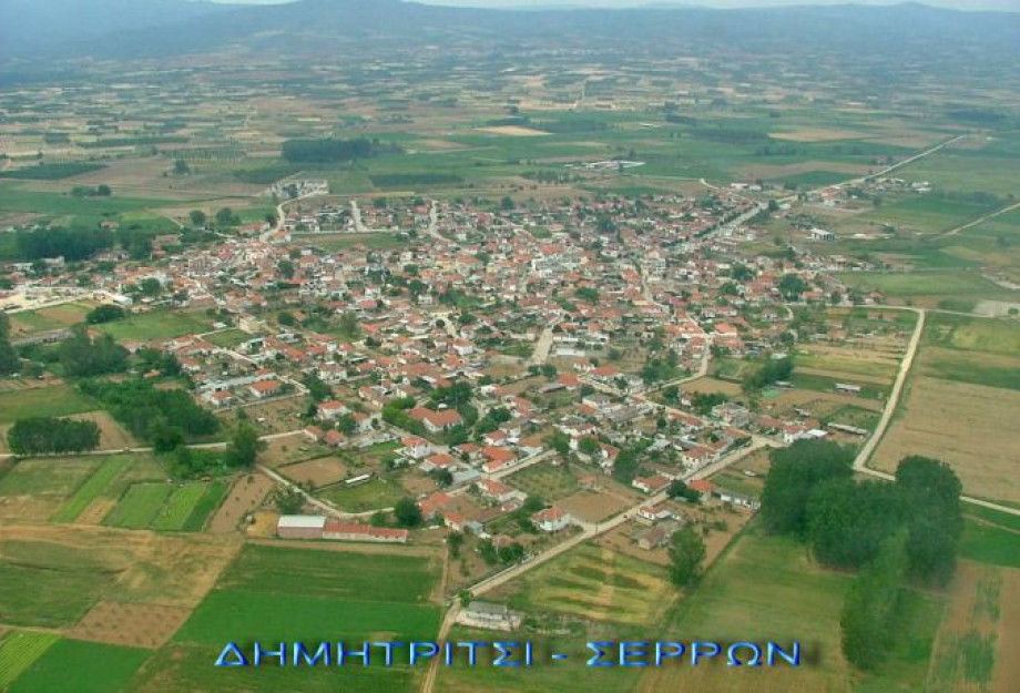 Η μάχη στο Δημητρίτσι Η μάχη στο Δημητρίτσι