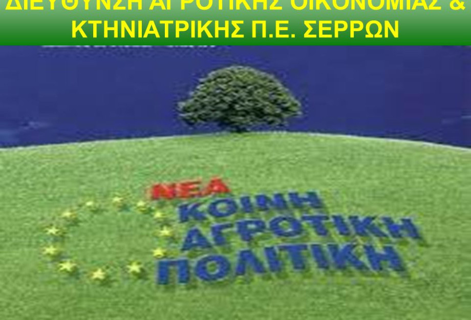 Διεύθυνση Αγροτικής Οικονομίας και Κτηνιατρικής Π.Ε. Σερρών: Μέχρι τις 27/7 τα σχέδια βελτίωσης για αρδευτικά Διεύθυνση Αγροτικής Οικονομίας και Κτηνιατρικής Π.Ε. Σερρών: Μέχρι τις 27/7 τα σχέδια βελτίωσης για αρδευτικά