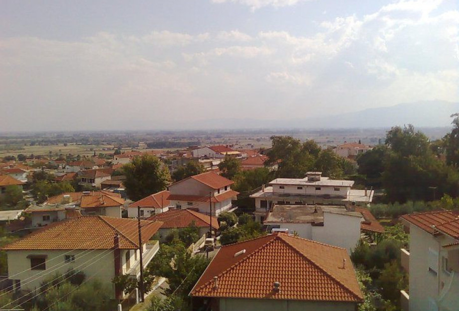 Τίμησαν στο Νέο Πετρίτσι 11 χωριανούς τους, πεσόντες κατά τη «Μάχη των Οχυρών» Τίμησαν στο Νέο Πετρίτσι 11 χωριανούς τους, πεσόντες κατά τη «Μάχη των Οχυρών»
