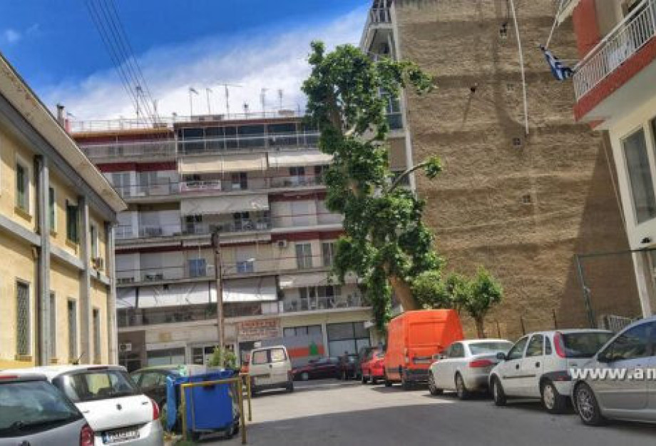Διάβαση Πεζών: Οι δημοτικοί σύμβουλοι να ψηφίσουν κατά της θανατικής ποινής του πλάτανου Διάβαση Πεζών: Οι δημοτικοί σύμβουλοι να ψηφίσουν κατά της θανατικής ποινής του πλάτανου