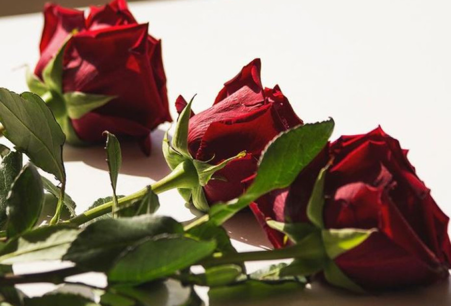 Είναι επίσημο: Αυτός είναι ο νέος The Bachelor