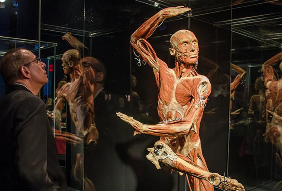 Έρχεται το Body Worlds: Έκθεση με πραγματικά σώματα που έχουν διατηρηθεί μέσω πλαστινοποίησης Έρχεται το Body Worlds: Έκθεση με πραγματικά σώματα που έχουν διατηρηθεί μέσω πλαστινοποίησης