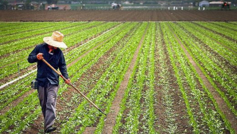 Έμειναν έξω από το Μέτρο 11 οι βιοκαλλιεργητές: Πως θα αντιμετωπίσουν το κόστος παραγωγής;