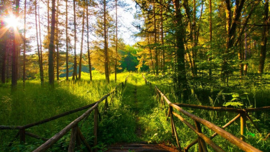 Καταγγέλλει η ΚΙΝΗΣΗ ΠΟΛΙΤΩΝ ΣΕΡΡΩΝ “γη & ελευθερία”: Χωρίς υπηρεσιακή πρόταση η εισήγηση  για τα αιολικά πάρκα!