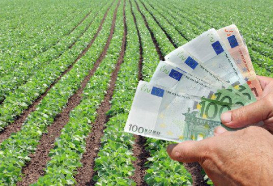 Πληρώνει ο ΕΛΓΑ για τον «παγετό Άνοιξη ‘21» Πληρώνει ο ΕΛΓΑ για τον «παγετό Άνοιξη ‘21»