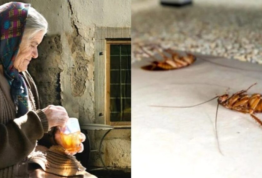 Το παλιό κόλπο της γιαγιάς, για να εξαφανίσεις τις κατσαρίδες από το σπίτι σου, ακόμη και για μήνες Το παλιό κόλπο της γιαγιάς, για να εξαφανίσεις τις κατσαρίδες από το σπίτι σου, ακόμη και για μήνες