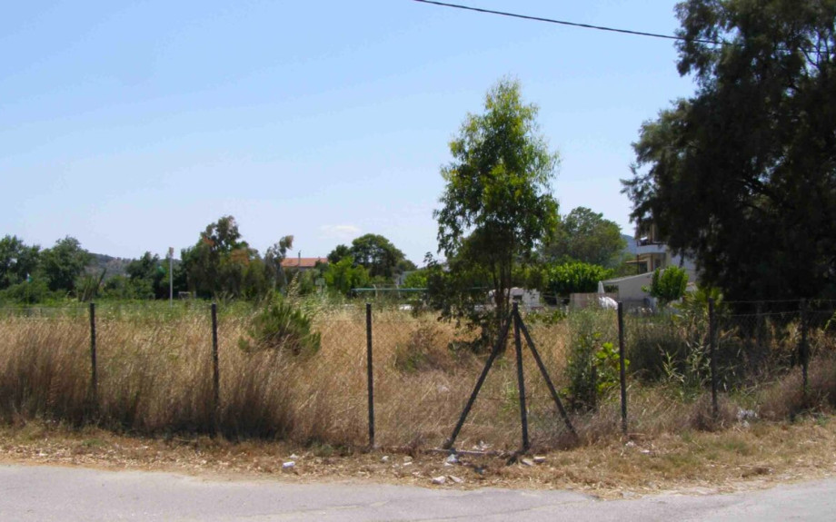 Καθαρισμός οικοπέδων: Πότε λήγει η διορία – Πόσες δηλώσεις έχουν καταγραφεί