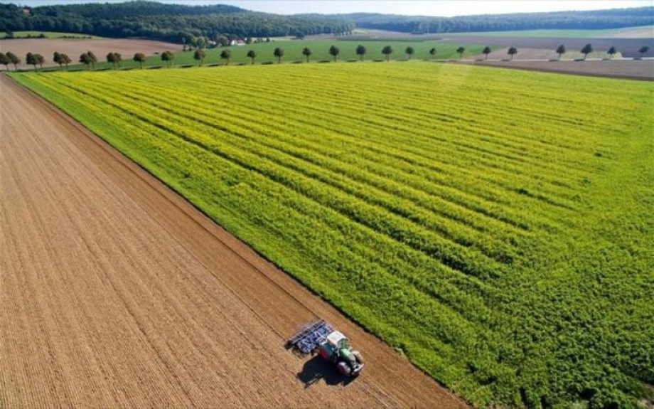 Σέρρες: Δημοσίευση τροποποίησης της δράσης ΚΟΜΦΟΥΖΙΟ για τους Παραγωγούς