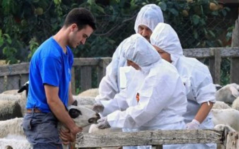 Επίδομα επικίνδυνης και ανθυγιεινής εργασίας για τους κτηνιάτρους των Περιφερειών