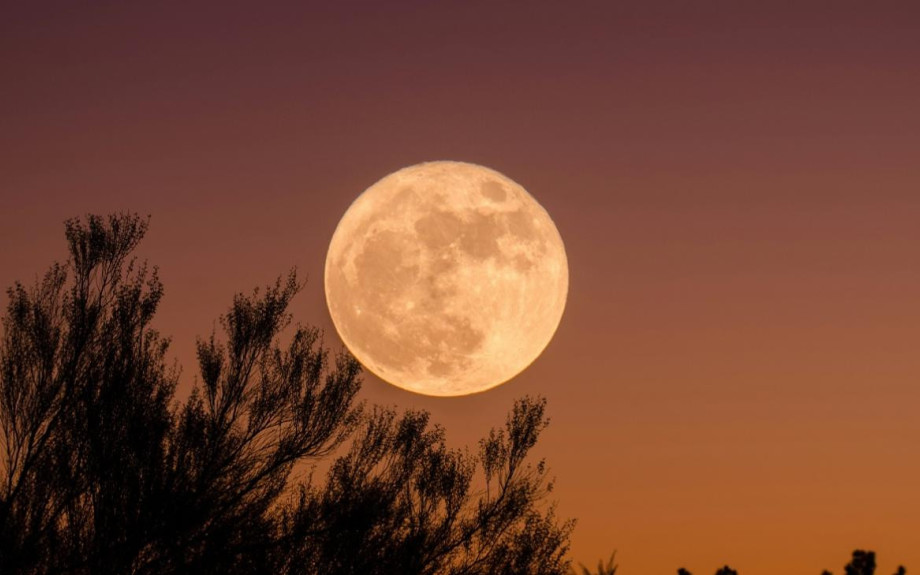Νέα Σελήνη στις 21 Οκτωβρίου: Τα 3 ζώδια που θα επηρεαστούν περισσότερο και θα ανοίξουν νέα κεφάλαια στη ζωή τους