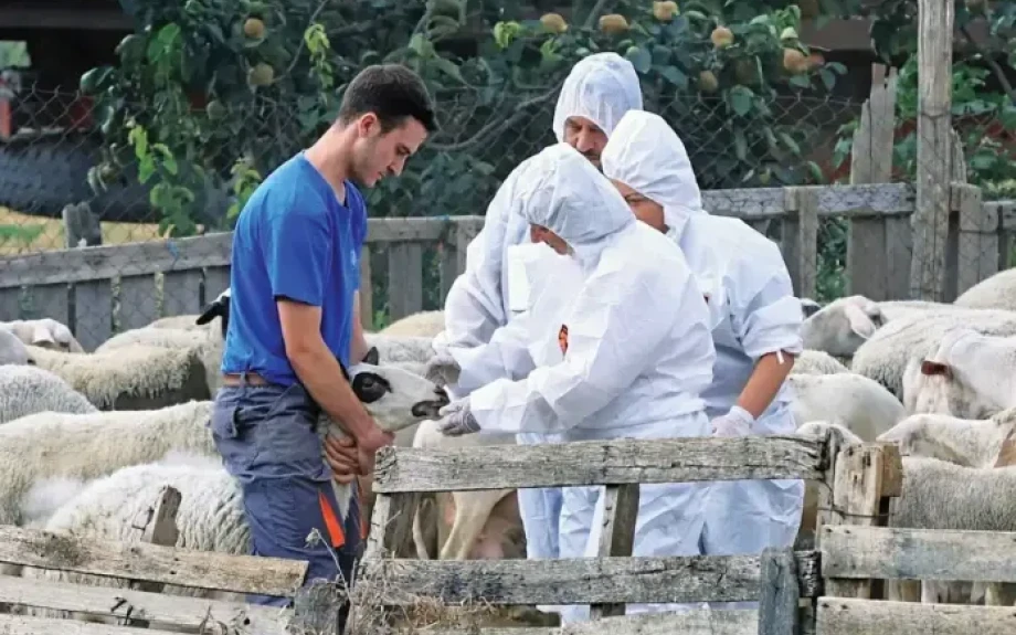 ΠΑΣΟΚ Σερρών -Η αιγοπροβατοτροφία σε οριακό σημείο