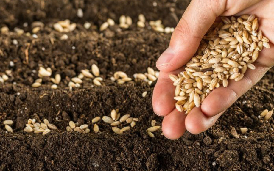 ΕΛΓΟ-ΔΗΜΗΤΡΑ- Nέο κεφάλαιο στην παραγωγή πολλαπλασιαστικού υλικού οπωροφόρων δένδρων στην Ελλάδα