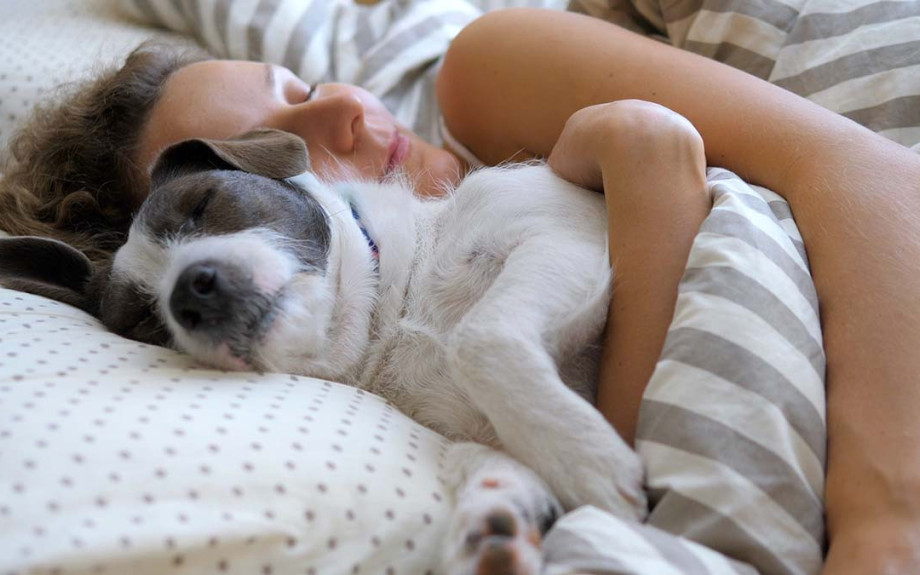 Γιατί όλο και περισσότεροι νέοι προτιμούν να αποκτήσουν σκύλο αντί να κάνουν παιδιά;