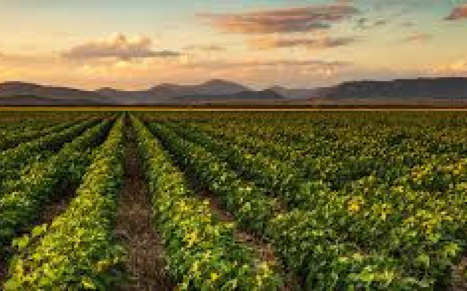 ΠΟΓΕΔΥ -Πακέτο με έντονο “μετά” (ΘΑ)  και λιγότερο “τώρα”