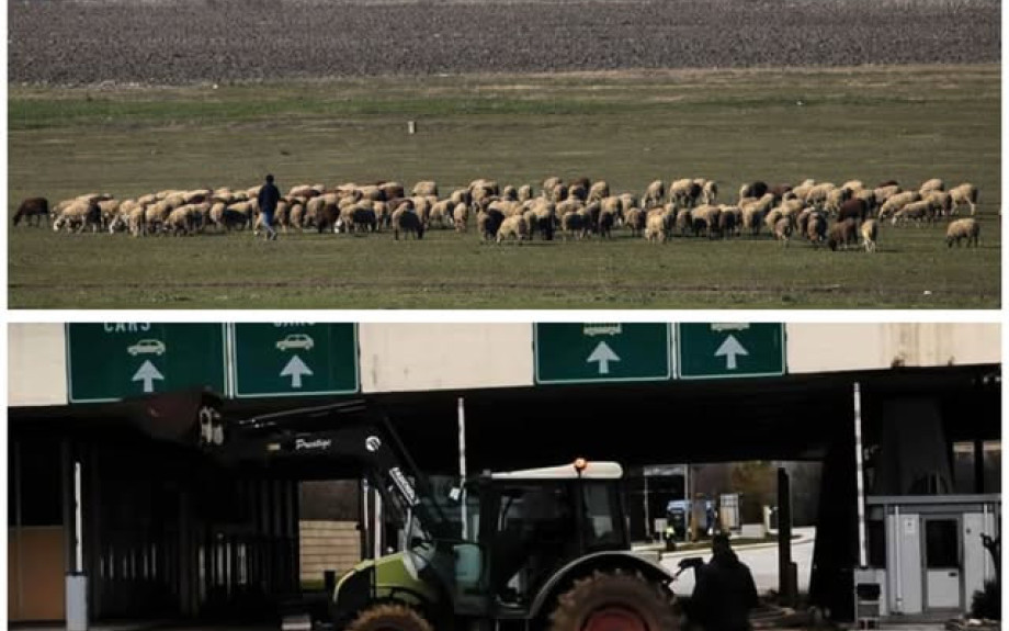 Λαϊκή Συσπείρωση: Πρόταση για απαλλαγή αγροτοκτηνοτρόφων από τα δημοτικά τέλη