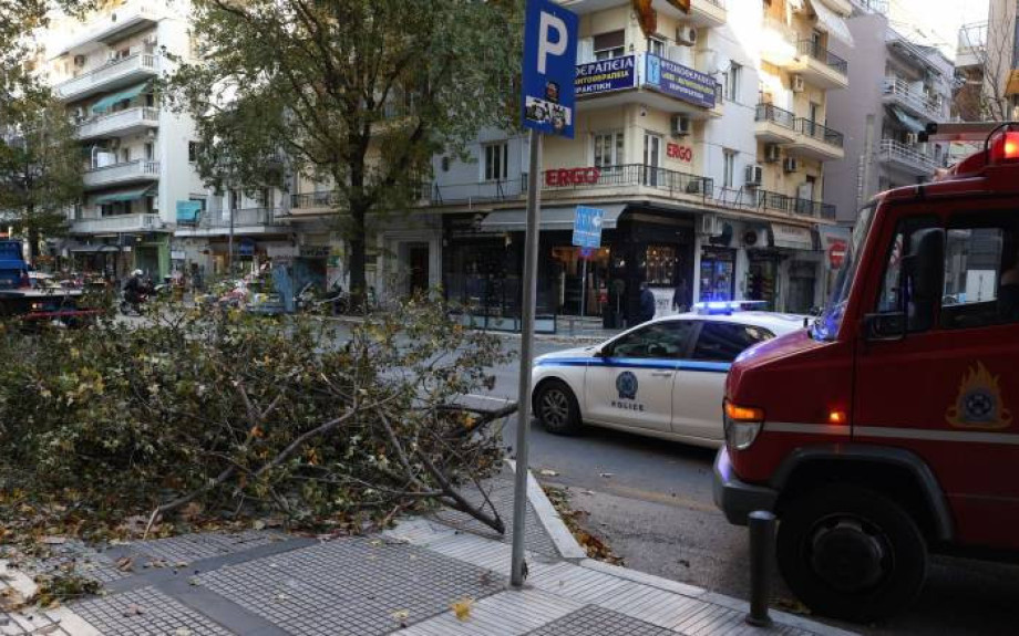 Θεσσαλονίκη: Πτώσεις δέντρων και δεκάδες κλήσεις για βοήθεια από τους ισχυρούς ανέμους