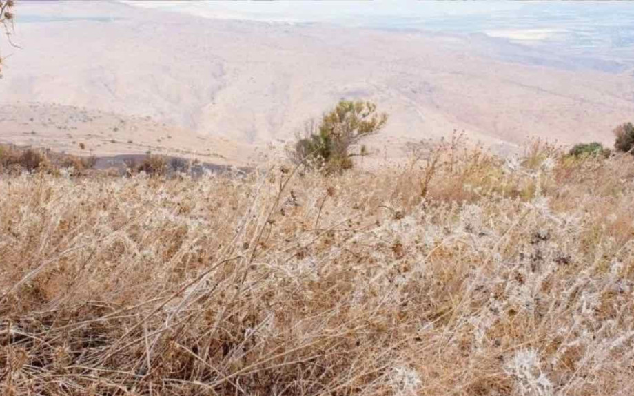 Σέρρες - Για οικόπεδο που δεν καθάρισε ο Δήμος δεν πληρώνει το πρόστιμο της πυροσβεστικής