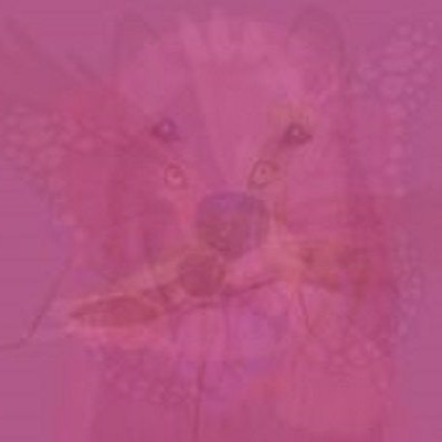 ΤΕΣΤ: ΤΟ ΖΩΟ ΠΟΥ ΒΛΕΠΕΤΕ ΠΡΩΤΟ ΣΤΗΝ ΕΙΚΟΝΑ ΔΕΙΧΝΕΙ ΤΟ ΕΙΔΟΣ ΤΗΣ ΨΥΧΗΣ ΣΑΣ!