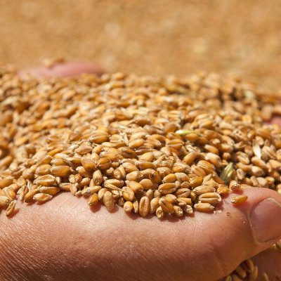 Ντόμινο αυξήσεων στα τρόφιμα: Τέλεια καταιγίδα