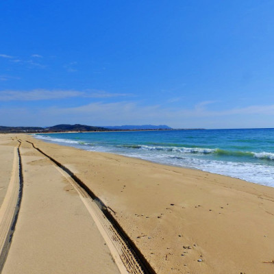 Δεν επιτρέπεται η κολύμβηση στις εκβολές του Στρυμόνα: Χρειάζεται ο Δήμος Αμφίπολης να τοποθετήσει πινακίδες