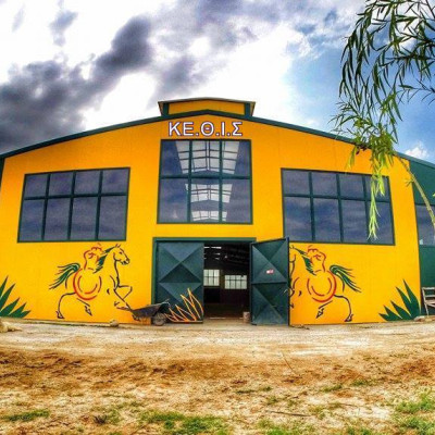 Η φετινή χρονιά για το ΚΕΘΙΣ: Έκλεισε με μουσική και παιχνίδι