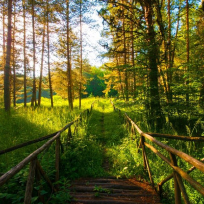 Είπε η Αποκεντρωμένη Διοίκηση Μακεδονίας-Θράκης  Όχι στο λατομείο στον Λαϊλιά