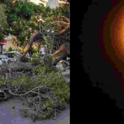 «Του φώναζαν ότι πέφτει το δέντρο, αλλά δεν τους άκουγε»: Αδιανόητη τραγωδία στο Ηράκλειο