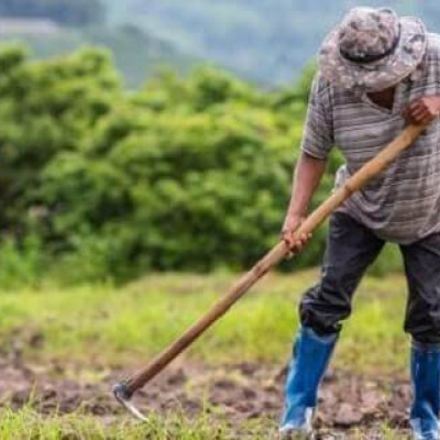 Έρευνα Διάρθρωσης Γεωργικών και Κτηνοτροφικών Εκμεταλλεύσεων 2023 από την ΕΛΣΤΑΤ