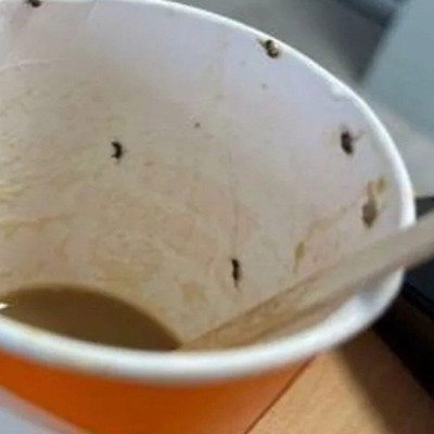 Σοκ για 21χρονη: Πήρε καφέ από αεροδρόμιο γεμάτο… έντομα – Βρέθηκε στην εντατική