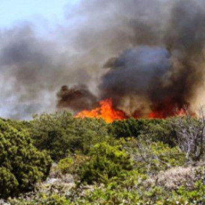 Οριοθετήθηκε η φωτιά στην περιοχή Λαϊλιάς Σερρών
