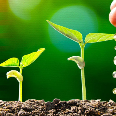 Χρήστος Αγοραστός: Ο χάρτης πορείας για έναν ακμάζοντα γεωργικό και αγροδιατροφικό τομέα της ΕΕ