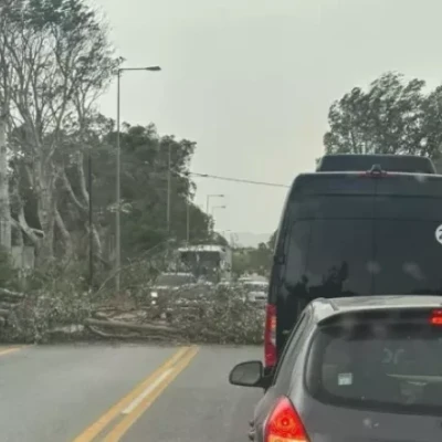 Κρήτη: Προβλήματα λόγω σφοδρών ανέμων – Έπεσαν δέντρα και στύλοι
