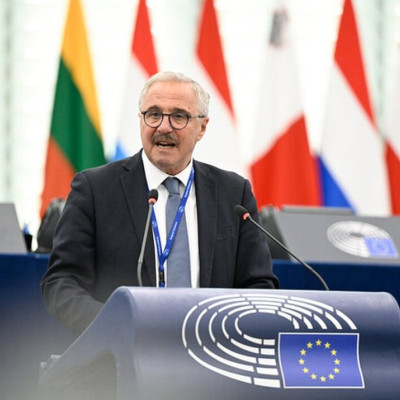 Γιάννης Μανιάτης: Η Κυβέρνηση θεατής στον αφανισμό των δασών ελάτης