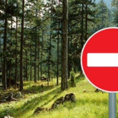 Απαγόρευση κυκλοφορίας στην περιοχή ευθύνης του Δασαρχείου Νιγρίτας